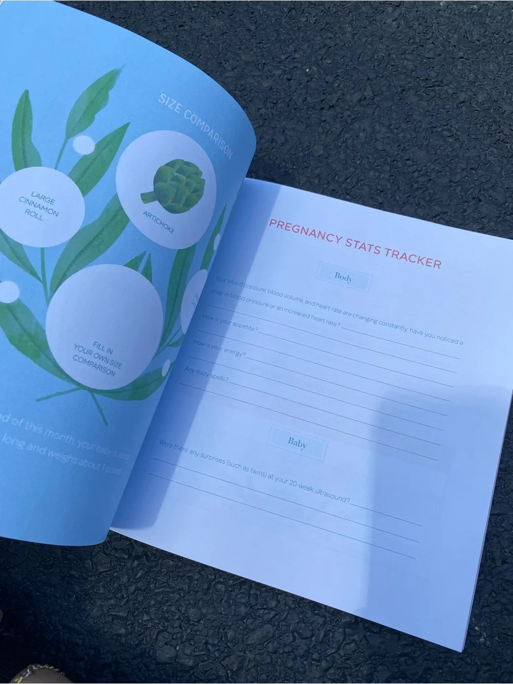 First time mom’s pregnancy baby announcement journal